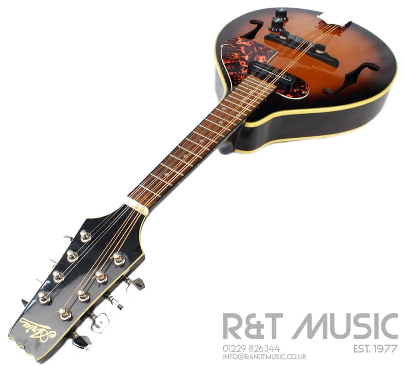 Aria AM200E Electro Mandolin in Brown Sunburst w/Case | Reverb
