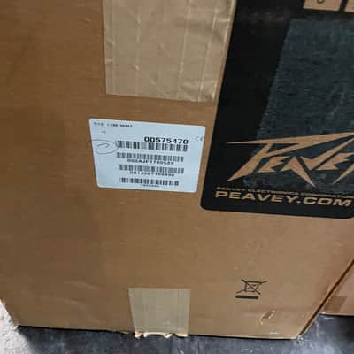 PAIR OF Peavey Sanctuary Series SSE 10M Two-Way Passive Wedge Speaker 2010s - White image 8