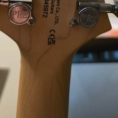 PRS SE Swamp Ash Special 2023 - Present - Charcoal image 6