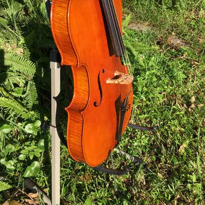 Tenor Violin (half-size cello tuned GDAE) image 4