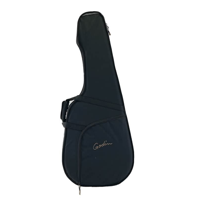 Godin TRIC Case Multiac Steel image 1