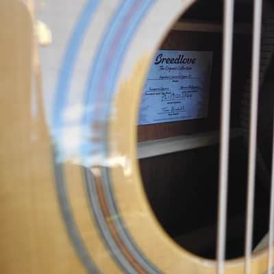 Breedlove Signature Concerto Copper CE – Organic Collection 2019 image 6