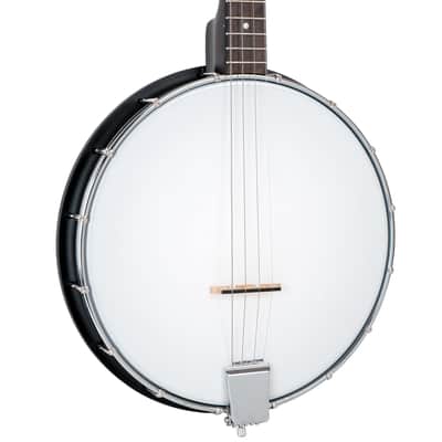 Gold Tone AC-4IT Acoustic Composite Nato Neck 4-String Openback Irish Tenor Banjo w/Gig Bag image 3