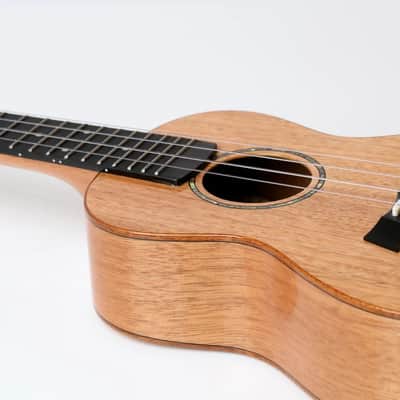 Snail SUC-M1 Mahogany Concert Ukulele - Gloss Natural image 2