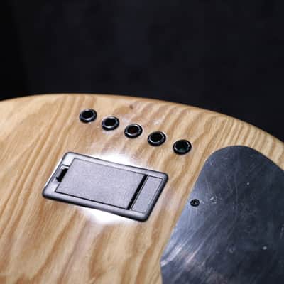 Lakland Skyline Series 55-01 Deluxe Spalted Maple Natural 5-String Electric Bass image 18