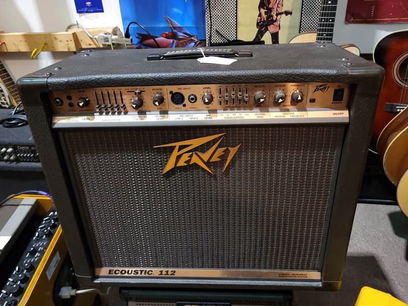 Peavey Ecoustic 112 100-Watt 1x12" Acoustic Instrument Amplification System - Local Pickup Only image 1