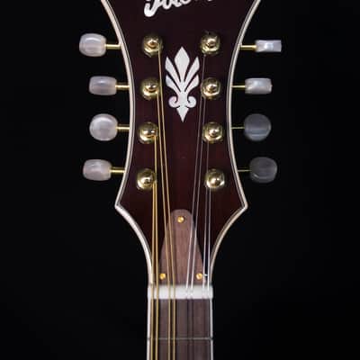 Ibanez M700SAVS F-Style Mandolin, Antique Violin Sunburst image 7