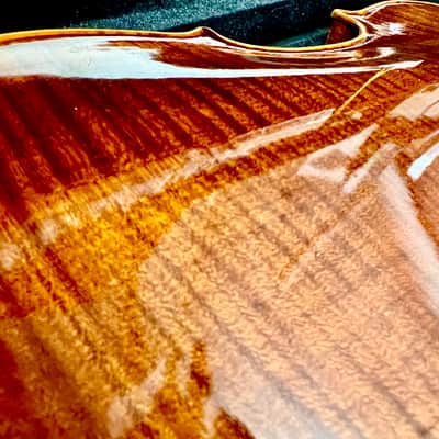 Stagg VN-4/4 HG - High Gloss SOLID Violin image 2