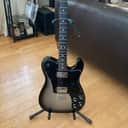 Fender Limited Edition American Pro Telecaster Deluxe Ebony Fretboard Shawbucker 2017 - Silverburst