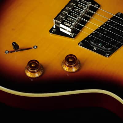Epiphone Nancy Wilson Fanatic Outfit (#318) image 4