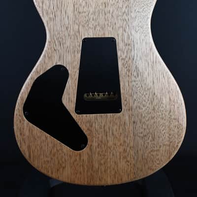 PRS Wood Library Custom 24 Piezo 10-Top Blue Fade #067 image 18
