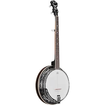 Ibanez US250 Banjo - USA 250 Anniversary Limited Edition image 7