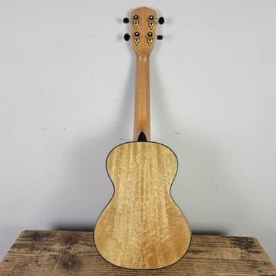 2022 Kala Curly Mango Concert Ukulele KA-MNGG-C image 6