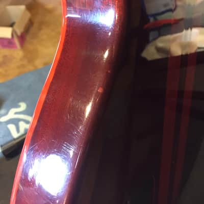 Washburn Custom Shop image 8