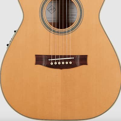 Maton Master Built  The T.E. Personal Cut Away (SPECIAL ORDER) image 1