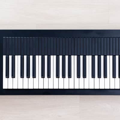 Expressive E Osmose 49-Key Polyphonic Synthesizer, 24-Voice image 2