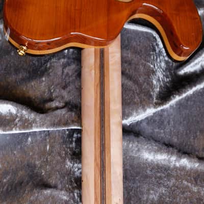 GB Liuteria Custom Boutique Blouse 6 string fanned comic edition image 14