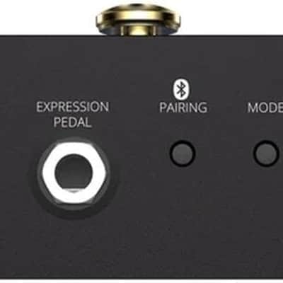 Singular Sound MIDI Maestro Gold Edition image 5