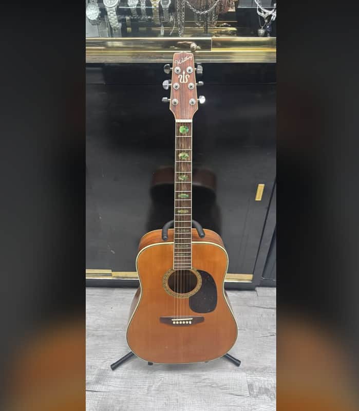 westbury acoustic guitar image 1