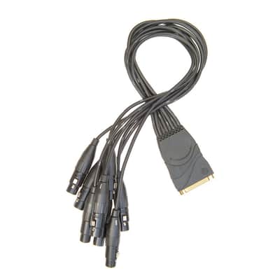 Planet Waves PW-XLRMB-01 8-Channel Modular Snake XLR Male Breakout Cable