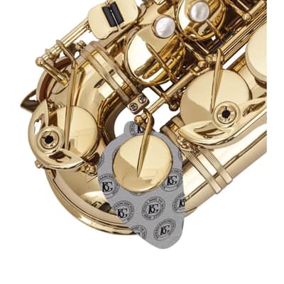 BG A65S Polstertrockner Saxophon image 1