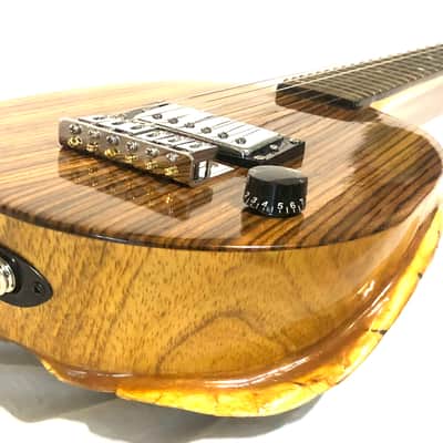 Turtle Shell Electric Guitar image 9