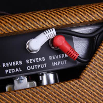 2-3 Week Delivery Time-Tyler Amp Works JT-22-Blackface Princeton Design-Tube Tremolo-Spring Reverb with Fat Switch and Mid EQ 50 Watt Speaker image 4