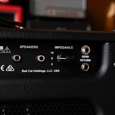 Bad Cat Era 30 30-Watt Tube Amplifier Head image 7