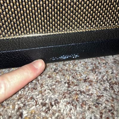 Friedman JJ Jr w/ 2x12 cab image 7
