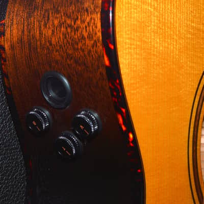 Immagine 2024 Breedlove - Organic Pro Performer CN Acoustic Electric - Aged top Toner, Burst back - 2