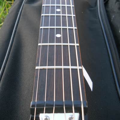 Epiphone Les Paul Dale Earnhardt Tribute Concert Limited Edition Guitar #30/300, Free USA Shipping image 16