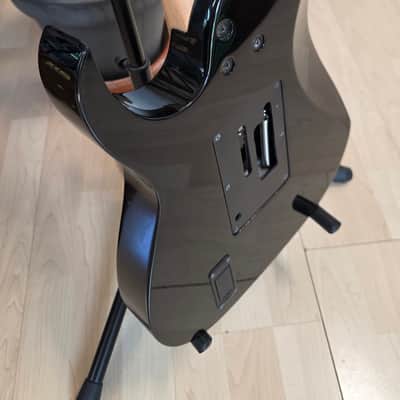 Ibanez Prestige RG2450Z TEAM J CRAFT 2008 LIMITED EDITION Maple Fretboard Custom EMG FujiGen HH Super Strat RG Guitar MIJ Japan image 16