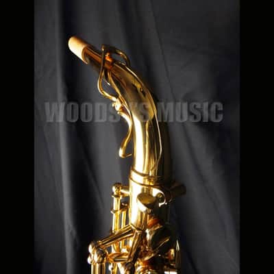Yanagisawa AWO10 Elite Model Alto Saxophone - Lacquered Brass image 3