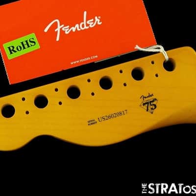 Fender American Professional Classic Tele NECK Bild 6