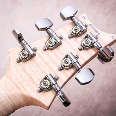 PRS USA Paul Reed Smith Wood Library Special 22 Semi Hollow 10-Top "Copperhead Burst" (2024) image 13