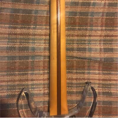 Greco AP-1000 1980's - Lucite image 7