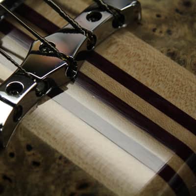 2016 Left-Handed Alembic Mark King 5 Deluxe Buckeye Burl ~Side LED's~ image 18