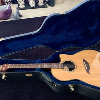Songbird Hand Crafted Songbird Acoustic/Electric Guitar image 10