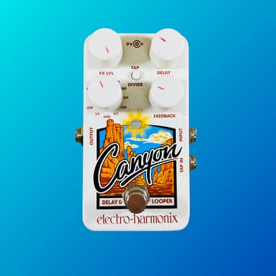 Electro-Harmonix Canyon Delay & Looper Pedal image 1