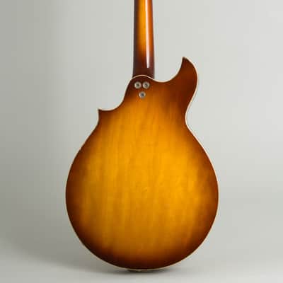 Harmony H-35 Hollow Body Electric Mandolin (1970), ser. #1979H35, black gig bag case. image 2