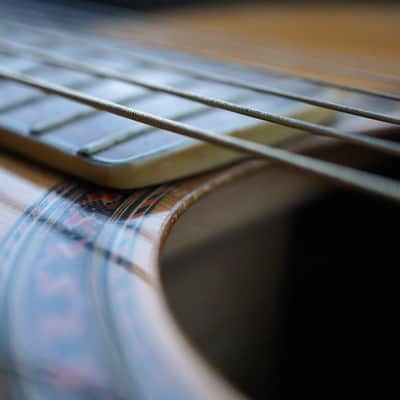 Epiphone 6830 - Kalamazoo 1971 - Vintage RARE label! image 18