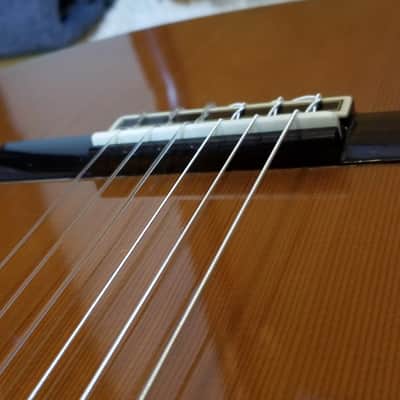 Takamine No.5 image 8