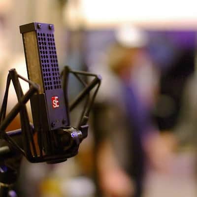 sE Electronics Voodoo VR1 Passive Ribbon Microphone image 5