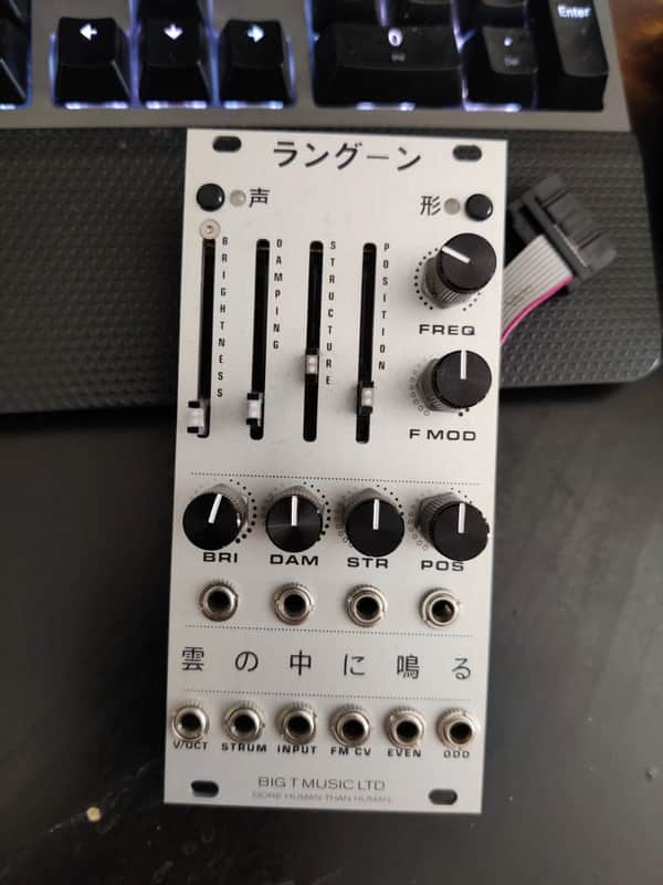 Big T Music Rangoon Mutable Instruments Rings Clone Eurorack Module image 1