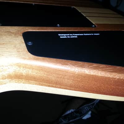 Caparison TAT Special 7 image 11