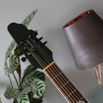Fender J5 Acoustic - John 5 Signature image 10