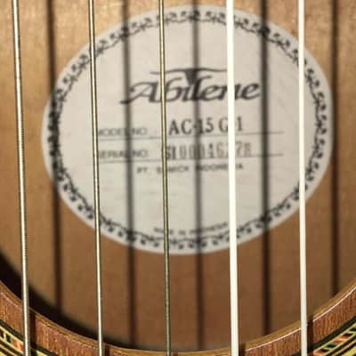 Samick Abilene AC-15 G-1 Full-size Classical Guitar with Truss Rod image 10