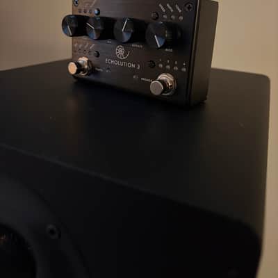 Pigtronix Echolution 3 2021 - Black image 6