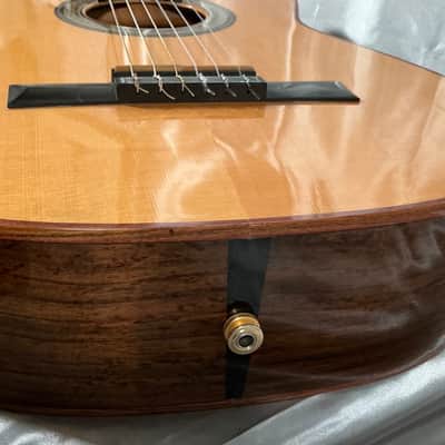 1998 Buscarino Cabaret Acoustic Electric Classical Nylon Flat Top Guitar w/ Original Hard Shell Case image 22