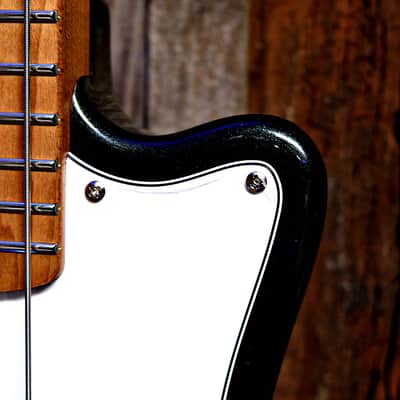 Ashdown Roasted Capri 23" Short Scale Bass - Gloss Black image 7